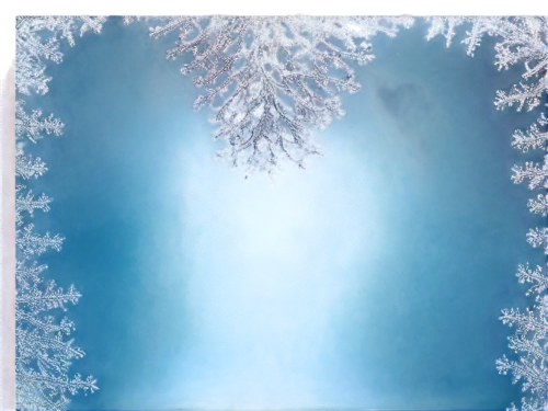 snowflake background,christmas snowy background,ice crystal,blue snowflake,christmas snowflake banner,winter background,hoarfrost,christmas frame,crystalline,ice fog halo,polar lights,wreathed,christmas background,frosted glass,winterreise,vinter,light fractal,winter window,snow tree,winterland,Illustration,Retro,Retro 13