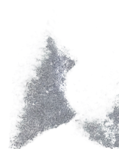 generated,denoising,oolite,methone,dimap,icesat,crystallites,cocci,coconut palm infrutescence,photogrammetric,crystallizing,granular,crystallizes,globules,microlensing,dithered,granulated,gitter,recrystallized,glitter leaf,Illustration,Black and White,Black and White 04