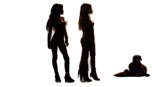 perfume bottle silhouette,women silhouettes,silhouettes,mannequin silhouettes,couple silhouette,halloween silhouettes,woman silhouette,sillouette,silhouette art,art silhouette,silhouetted,silhouette of man, silhouette,the silhouette,silhouette,mermaid silhouette,higurashi,female silhouette,dance silhouette,man silhouette,Illustration,Realistic Fantasy,Realistic Fantasy 46