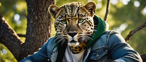 cheetor,leopardus,ocelot,cheeta,tigar,tigerish,ocelots,felidae,tigert,mahlathini,leopard,derivable,gepard,rengo,blue tiger,macan,tiger png,tyger,tigre,young tiger,Conceptual Art,Daily,Daily 20
