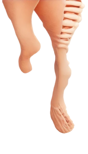 lymphedema,foot model,woman's legs,foot,leg,hindfeet,valgus,dorsiflexion,tibia,legg,danlos,kneecap,pegleg,3d figure,prosthesis,kneecaps,deformations,prostheses,rheumatism,oedema,Illustration,Japanese style,Japanese Style 05
