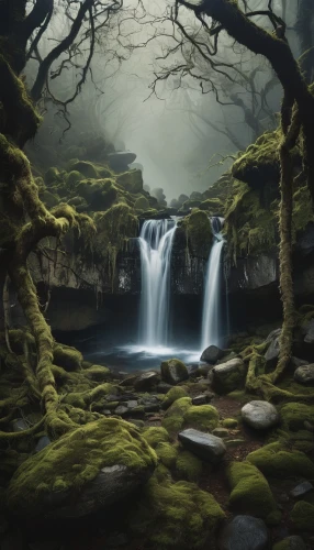 moss landscape,elfland,mirkwood,fantasy landscape,elven forest,cartoon video game background,ithilien,world digital painting,swampy landscape,fantasy picture,deviantart,mountain spring,forest landscape,ghyll,green waterfall,mountain stream,a small waterfall,brook landscape,landscape background,waterfall,Unique,Design,Knolling