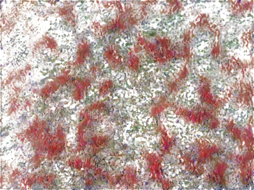 kngwarreye,seamless texture,japanese floral background,efflorescence,sphagnum,cotoneaster,coral bush,flower carpet,floral digital background,epilobium,rumex,red foliage,marpat,floral composition,terrazzo,kimono fabric,red leaves,rowanberry,carpet,red confetti,Illustration,Paper based,Paper Based 15