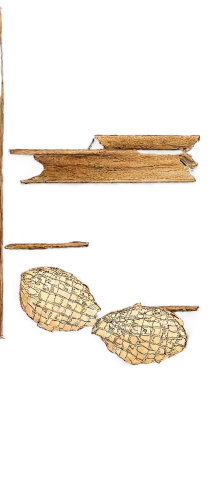 wooden ruler,patterned wood decoration,wooden sled,wooden background,wooden instrument,wood and leaf,wood background,decorative arrows,wooden slices,wood mirror,wooden saddle,wooden boards,on wood,wooden board,wood tool,wakai,wooden mockup,clothespins,wooden planks,wooden clip,Conceptual Art,Daily,Daily 33