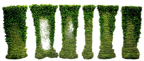 xylem,bryophytes,background ivy,green wallpaper,chloropaschia,chloroplast,microalgae,sporophyte,cypresses,sporophytes,bryophyte,fern plant,plant veins,stomatal,chloroplasts,asplenium,grass fronds,tree moss,transmembrane,chlorophyll,Art,Classical Oil Painting,Classical Oil Painting 11