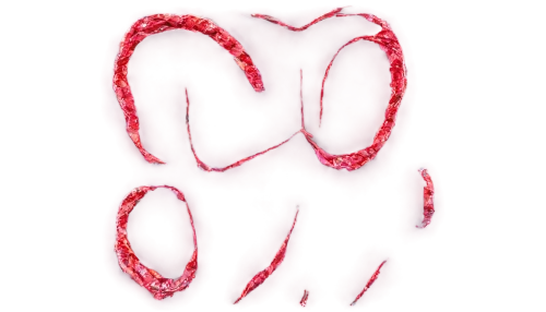 flagella,arteriole,candy canes,heartworms,aorta,goo,twizzlers,ebola,microtubules,ophiusa,tiktok icon,rna,nematoda,loops,arteriovenous,pseudoknot,tubules,om,arterburn,intestine,Photography,Fashion Photography,Fashion Photography 15