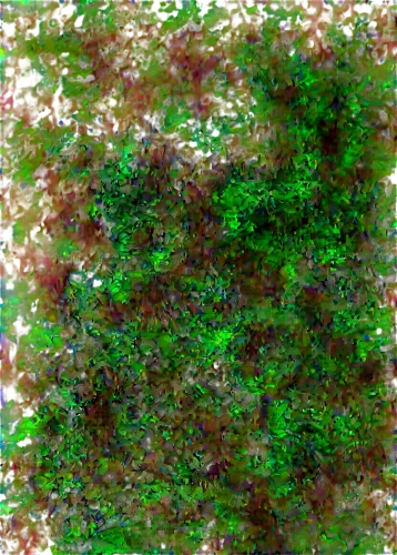 sphagnum,generated,forest moss,chlorophyll,background ivy,dark green plant,biofilm,green wallpaper,earth in focus,marpat,block of grass,arborescent,green background,eclogite,tree moss,shrubbery,crayon background,azolla,green plant,bryophyte,Photography,Artistic Photography,Artistic Photography 09
