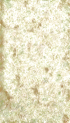 yellow wallpaper,sunflower lace background,forsythia,kngwarreye,flowers png,sunflower paper,solidago,yellow flowers,late goldenrod,flower broom,yellow garden,wattle,blanket of flowers,goldenrod,chrysanthemum background,chrysanthemums bush,yellow chrysanthemums,garland chrysanthemum,winter jasmine,yellow mustard,Illustration,Abstract Fantasy,Abstract Fantasy 22