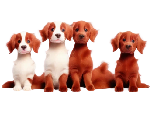 beagles,spaniels,bassets,cavalier king charles spaniel,defence,bloodhounds,bassetts,dog breed,defense,garrison,foxhounds,color dogs,parvovirus,puppies,wavelength,basset,spaniel,nova scotia duck tolling retriever,dog pure-breed,beagle,Unique,3D,3D Character