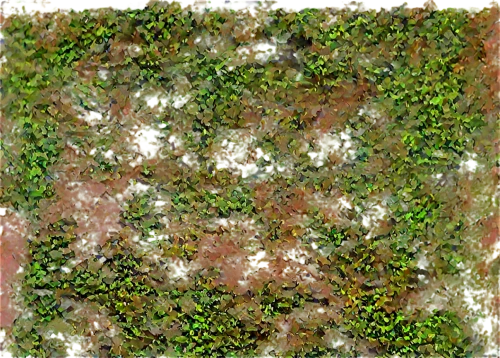 azolla,terrazzo,marpat,moss landscape,block of grass,carpet,background with stones,landcover,stone slab,background ivy,degenerative,groundcover,pintada,quadro,stone background,landscape plan,rug,microflora,wall panel,watercolour texture,Art,Artistic Painting,Artistic Painting 38