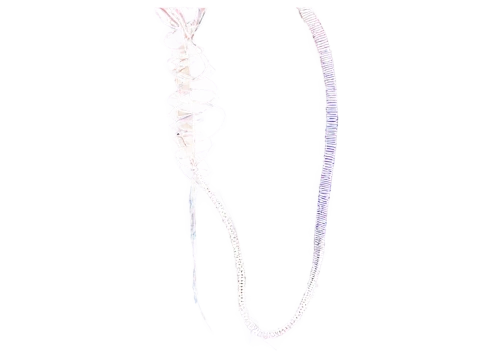 chain,elegans,collar,sinew,ercp,letter chain,iron chain,bead,island chain,baculum,transparent image,longicornis,analemma,spermatozoa,olm,quipu,kirpan,gar,genga,elongata,Illustration,Realistic Fantasy,Realistic Fantasy 19