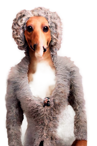 barkdoll,bobinska,female dog,cangaroo,enza,womble,sulfurated,scarf animal,bobinski,weasel,fur,pawlicki,red meerkat,et,smuttynose,squirreled,mogridge,sergei,furrier,marsupial,Illustration,Retro,Retro 21