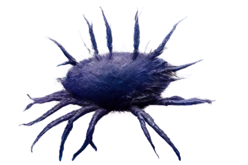 flavivirus,aspergillus,reovirus,calicivirus,polyomavirus,arctium,centaurea,poliovirus,adipocyte,keratinocyte,adenovirus,cytomegalovirus,acanthamoeba,myocyte,herpesvirus,cyanus cornflower,rhinovirus,potyvirus,echinococcus,wolbachia,Illustration,Abstract Fantasy,Abstract Fantasy 01
