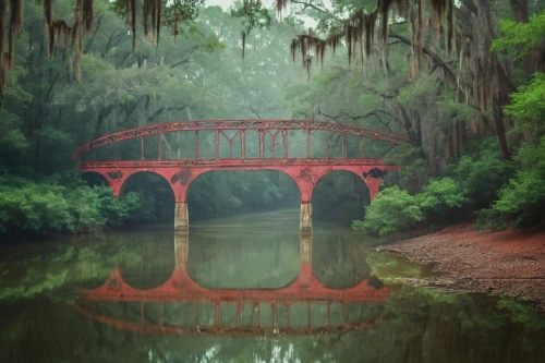 congaree,atchafalaya,hanging bridge,altamaha,bridge arch,railroad bridge,scenic bridge,old bridge,bayou,hangman's bridge,wakulla,alachua,south carolina,caddo,rainbow bridge,mississippi,wooden bridge,tangipahoa,pascagoula,escambia,Unique,Pixel,Pixel 04