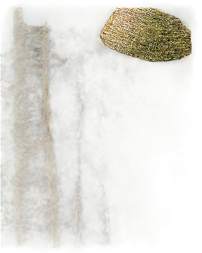 sackcloth textured background,phellinus,microworlds,sackcloth textured,epidote,uroplatus,paleobotany,polypore,background texture,trumpet lichen,fungus,lichen,bryophyte,mushroom landscape,stereocilia,clusiaceae,lichens,background with stones,tree texture,agonopterix,Art,Artistic Painting,Artistic Painting 07
