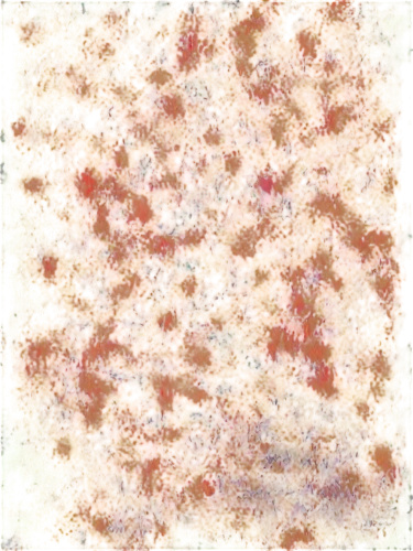 autumn leaf paper,reddish autumn leaves,round autumn frame,fall leaf border,autumn frame,autumnal leaves,maple foliage,fall foliage,autumn pattern,kngwarreye,autumn foliage,spring leaf background,autumn background,colored leaves,autumn leaves,digital scrapbooking paper,leaves frame,fall leaves,liquidambar,crabapples,Illustration,Black and White,Black and White 03