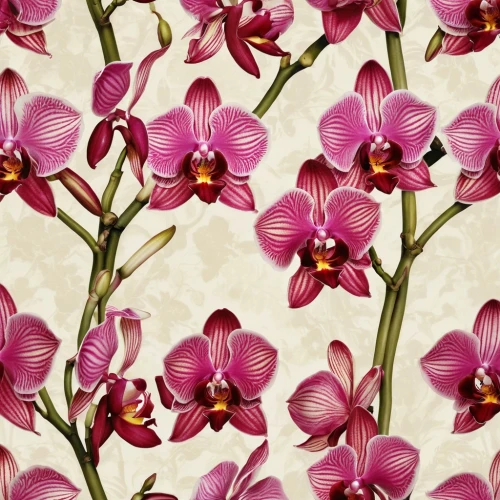 floral digital background,flowers png,moth orchids,japanese floral background,orchids,floral background,mixed orchid,floral pattern paper,flower background,flower wallpaper,tropical floral background,orchid,tulip background,flowers pattern,pink floral background,orchidaceae,wild orchid,floral scrapbook paper,flower fabric,orchid flower,Illustration,Realistic Fantasy,Realistic Fantasy 09