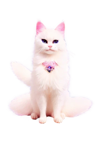 white cat,pink cat,kittenish,chiffon,doll cat,himalayan persian,blossom kitten,fluffernutter,cat kawaii,minurcat,chua,miqati,mew,snowbell,birman,pink background,transparent background,kihon,korin,cute cat,Illustration,Vector,Vector 21