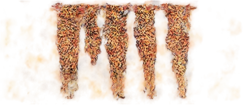 leopardskin,giraffa,animal print,fritze,cheetor,cheeta,napaltjarri,ikat,deerskins,women's legs,garridos,woman's legs,giraffes,pant,cordyceps,kemelman,cheetahs,phragmite,chair png,tigerman,Conceptual Art,Sci-Fi,Sci-Fi 13