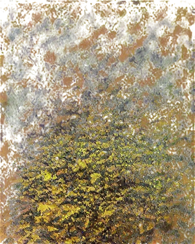 azolla,moss landscape,oilpaper,forest moss,tree texture,lichens,gold leaf,brown mold,lichen,chlorophyta,selaginella,metop,terrazzo,sphagnum,humulus,background ivy,impasto,poliakoff,green mermaid scale,bronze wall,Art,Artistic Painting,Artistic Painting 04