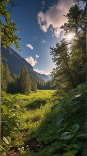 nature background,landscape background,background view nature,forest background,meadow landscape,nature wallpaper,meadow and forest,mountain meadow,forest landscape,coniferous forest,frog background,nature landscape,mountain landscape,green landscape,windows wallpaper,mountain pasture,3d background,mountain scene,green wallpaper,alpine landscape,Photography,General,Realistic