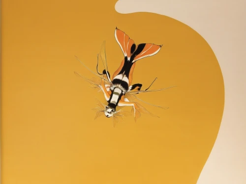 cattelan,finch in liquid amber,nemophora,meadmore,medium-sized wasp,munari,paper art,blumenfeld,flying insect,drone bee,glass wing butterfly,micropterix,butterflyer,syrphid fly,long head wasp,silk bee,butterfly vector,eega,female silhouette,deforge,Illustration,Retro,Retro 21