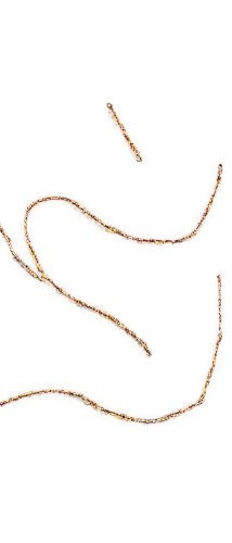 flagella,trypanosoma,spirochete,platyhelminthes,elegans,leptospira,nematode,nematoda,paenibacillus,roundworms,nematodes,schistosoma,golgi,klebsiella,stigmella,trypanosomes,rna,arteriole,spirochetes,pipefishes,Illustration,Retro,Retro 22