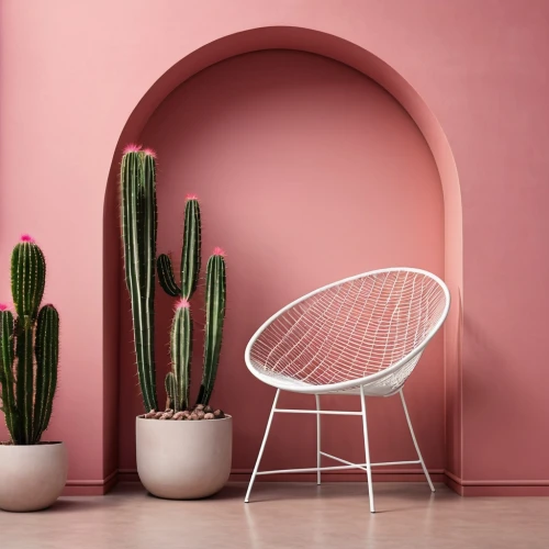 pink chair,wall,pink round frames,cactus,danish furniture,pink background,cactus digital background,cacti,soft furniture,homeware,thonet,alcoves,homewares,alcove,mahdavi,furnishing,modern decor,geometric style,chair circle,soft pink,Photography,General,Realistic