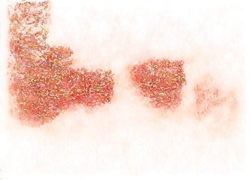 biofilm,paprika powder,orang,lava,cellular,angiomas,carrot print,chia,collagen,realgar,acid red sodium,magma,ragi,orange,tajin,molten,cheetos,goji,splotch,golgi,Photography,Fashion Photography,Fashion Photography 18