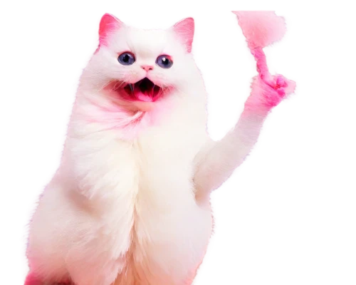 pink cat,murgatroyd,pink background,kittenish,pinkola,white cat,mew,mellat,the pink panter,anf,gatski,omc,kittner,ermine,mmogs,kittikachorn,cats angora,magenta,whiskas,kihon,Illustration,Realistic Fantasy,Realistic Fantasy 07