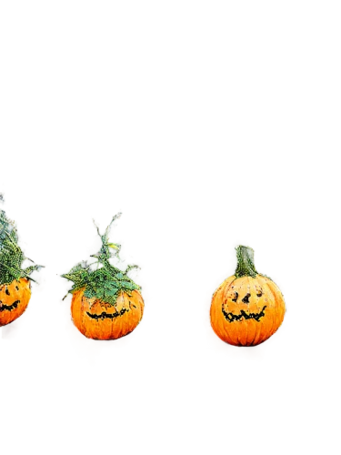 halloween background,decorative pumpkins,halloween wallpaper,mini pumpkins,halloween border,halloween pumpkins,pumpkins,seasonal autumn decoration,funny pumpkins,striped pumpkins,autumn pumpkins,halloween banner,halloween borders,halloween ghosts,pumpkin heads,halloween pumpkin gifts,halloween scene,autumn decoration,decorative squashes,autumn background,Illustration,Paper based,Paper Based 26