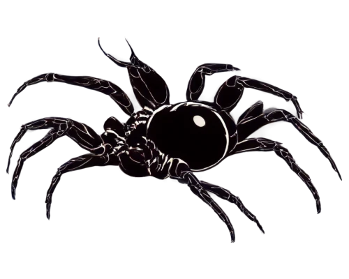 black crab,anansi,tarantula,webcrawler,arachnid,diadem spider,pumpkin spider,spider,blackarachnia,acindar,scorpio,araneus,symbiote,aranburu,arachnids,aranxta,arachnology,dendrimers,arachnoid,walking spider,Unique,Design,Blueprint