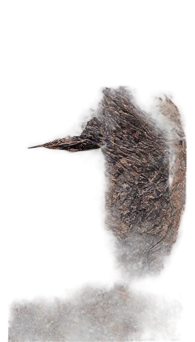 rocksnail,kormoran,water bird,pebblesnail,sarcopterygian,ganymede,neoproterozoic,strix nebulosa,asteroid,ordovician,pelican,aztec gull,futalognkosaurus,cercariae,deformations,leiothrichidae,plesiosaur,ostrich,elasmosaurus,dendrobatidae,Art,Classical Oil Painting,Classical Oil Painting 15