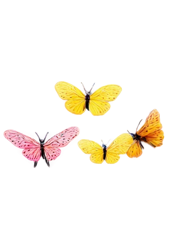 butterfly background,butterfly vector,butterfly clip art,butterflies,butterfly isolated,transparent background,rainbow butterflies,yellow butterfly,isolated butterfly,butterfly,papillons,butterflyer,aurora butterfly,pink butterfly,mariposas,butterflied,butterfly wings,buterflies,butterflay,fluttery,Unique,3D,Garage Kits