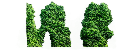 cypresses,huana,green trees,arborvitae,evergreen trees,green trees with water,afforestation,green forest,sgreen,reforestation,greeniaus,greentech,evergreens,green wallpaper,herbed,green plants,spruces,forestation,chlorophyll,spruce trees,Illustration,Paper based,Paper Based 10