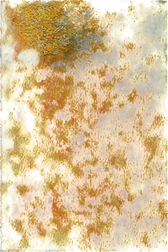 finch in liquid amber,pool water surface,watercolour texture,water surface,reflection of the surface of the water,pavement,on the water surface,xanthophylls,chameleon abstract,duckweed,oil in water,sewage pipe polluted water,watermilfoil,color texture,aquatic plant,fish in water,aquatic plants,pond lily,weißkehl doctor fish,sedimentation,Photography,Documentary Photography,Documentary Photography 19