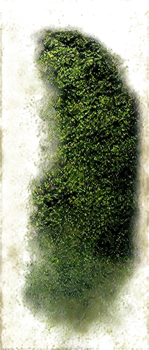 azolla,bryophyte,liverwort,moss landscape,chlorophyta,duckweed,epidote,lichen,hydrilla,forest moss,chlorophyll,topographer,stomata,nopal,spirulina,block of grass,grono,trumpet lichen,cyclospora,nettle leaves,Conceptual Art,Fantasy,Fantasy 10