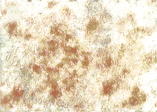 brown mold,kngwarreye,abstract background,background abstract,background texture,yellow wallpaper,abstract backgrounds,seamless texture,sackcloth textured background,abstract gold embossed,backgrounds texture,oxidation,abstractionist,textured background,peroxidation,palimpsest,crayon background,postimpressionist,watercolour texture,oxidize,Unique,3D,Toy