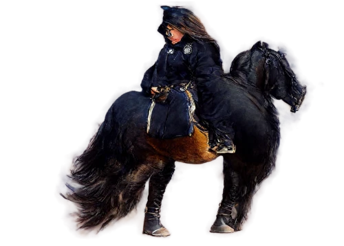 equine coat colors,horsewoman,derivable,bronze horseman,horseman,highwayman,imperial coat,cavalry,equestrian,hussar,finnhorse,greatcoat,wallachia,nobleman,deerskin,black shepherd,cavalryman,haytham,lighthorse,equerry,Conceptual Art,Daily,Daily 15