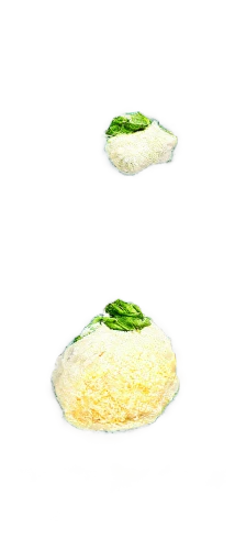 rice with fried egg,ricetec,bowl of rice,mixed rice,rice,herb quark,rice seeds,congee,indonesian rice,sticky rice,frog background,harvestable,raita,basmati rice,eggs,vichyssoise,floating islands,rice meat,grits,zamiaceae,Conceptual Art,Sci-Fi,Sci-Fi 19