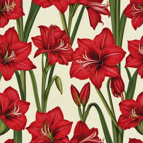 tulip background,flowers png,red tulips,floral digital background,flower background,floral background,red flowers,flower wallpaper,tulips,flowers pattern,tulip flowers,tulipa,red petals,hippeastrum,amaryllis,japanese floral background,red blooms,tulipe,wild tulips,paper flower background,Illustration,Realistic Fantasy,Realistic Fantasy 09