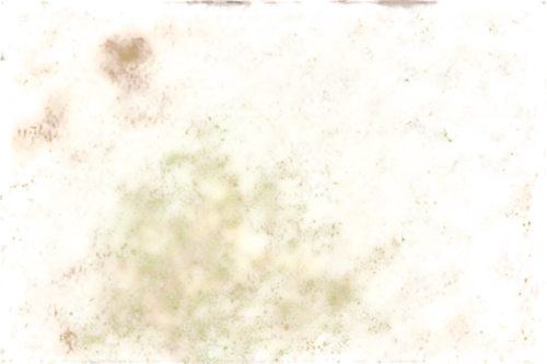 xanthomonas,seamless texture,transparent image,background texture,angioma,yeasts,brown mold,transparent background,oil stain,depigmentation,angiomas,keratosis,degenerative,pollens,backgrounds texture,meditrust,sediment,mold,free background,neurospora,Illustration,Vector,Vector 16
