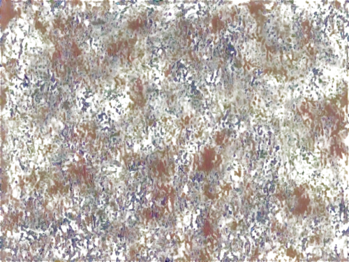 kngwarreye,seamless texture,degenerative,crayon background,generated,terrazzo,generative,impressionist,abstract background,postimpressionist,background abstract,seurat,sackcloth textured background,textured background,background texture,chameleon abstract,marpat,meadow in pastel,stereogram,stereograms,Illustration,Black and White,Black and White 20