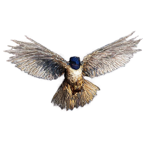 bird in flight,starling,bird fly,flying seed,bird flying,vuelo,bird perspective,in flight,windhover,volar,soar,flying bird,flying and feeding,bird flight,flyting,birdlike,flying seeds,bird wing,fly,skylark,Photography,Fashion Photography,Fashion Photography 14