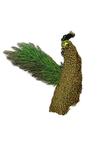 male peacock,tragopan,peacock,heacock,leacock,fairy peacock,barbet,koropeckyj,red-throated barbet,green bird,masked weaver,indian peafowl,gamefowl,kakapo,piculet,green woodpecker,common pheasant,puffleg,ring necked pheasant,dendrobatidae,Illustration,Vector,Vector 03
