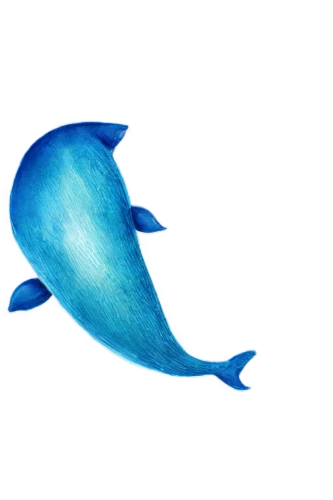 witch's hat icon,twitter logo,blue whale,dolphin background,blue fish,whale,quickbird,lab mouse icon,quill,paypal icon,dragonair,growth icon,cetacean,twitter bird,sea swallow,store icon,whale fluke,telegram icon,dolphin,life stage icon,Illustration,Japanese style,Japanese Style 14