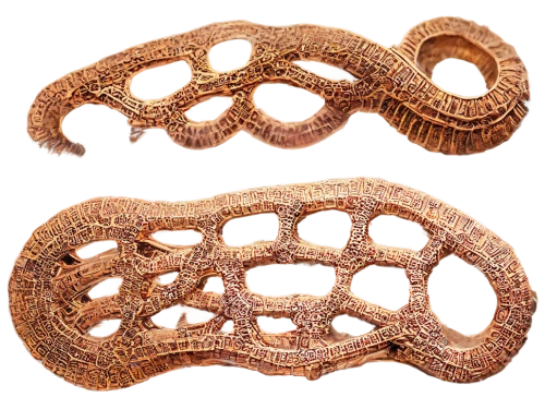 polychaetes,micropholis,fasciola,mitochondrion,golgi,trichinella,enterococci,ramphotyphlops,metacercariae,polyplacophoran,ophiusa,paraneoplastic,euphyllia paraancora,pseudopod,embryos,polyptychus,protostomes,desulfovibrio,sphyrna,platyhelminthes,Conceptual Art,Fantasy,Fantasy 25