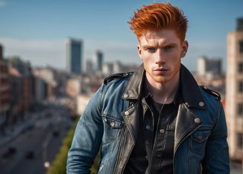 gingrichian,ginger rodgers,mcshane,rousse,gingerich,redheaded,bruyne,gingrey,molander,redhair,ginger,red head,gingold,red hair,pompadour,ranga,theudebert,vyvyan,pompadours,ginglen,Illustration,Realistic Fantasy,Realistic Fantasy 12