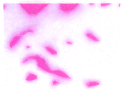purpleabstract,subwavelength,multispectral,pink paper,wavelet,deionized,wavelets,hyperstimulation,polarizations,pink squares,barotropic,mermaid scales background,generated,ir,polysynthetic,osteoblast,purpura,enantiopure,pinkwater,petromatrix,Photography,Documentary Photography,Documentary Photography 34