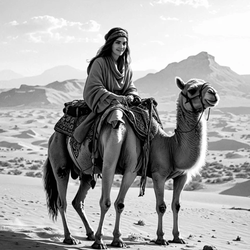 bedouin,tuareg,tuaregs,bedouins,camelride,berbers,camel caravan,nomadic people,dromedaries,transjordan,horse herder,arabians,wadi rum,wadirum,saliyah,nabatean,buckskin,camels,arabian horse,arabian,Design Sketch,Design Sketch,Black and white Comic